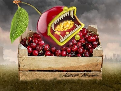 Черешня поставила рекорд подорожания: цена взлетела на 38% за месяц