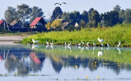 Анапа не вариант. Ищем альтернативу Анапа не вариант. Ищем альтернативу