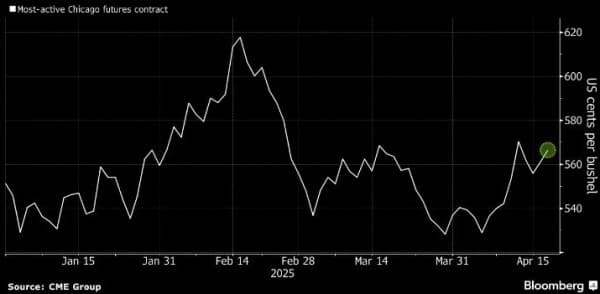 Цена пшеницы дорожает: экспорт из США превзошел прогнозы Цена пшеницы дорожает: экспорт из США превзошел прогнозы