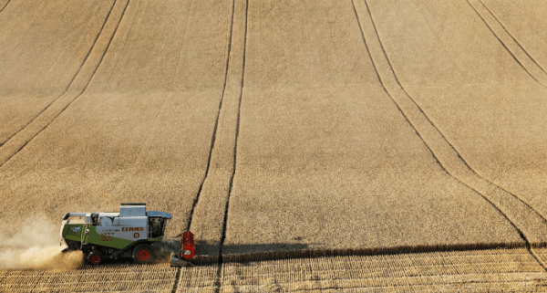 Правительство России распорядилось стимулировать экспорт сельхозпродукции Правительство России распорядилось стимулировать экспорт сельхозпродукции