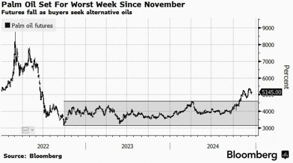 Пальмовое масло за неделю потеряло в цене около 5% Пальмовое масло за неделю потеряло в цене около 5%