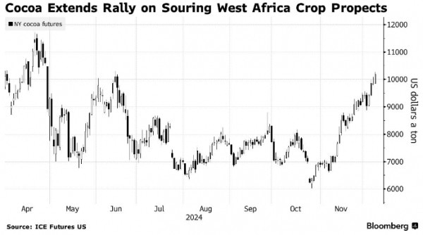 Какао достигло 7-месячного максимума на фоне ухудшения прогнозов урожая в Западной Африке Какао достигло 7-месячного максимума на фоне ухудшения прогнозов урожая в Западной Африке