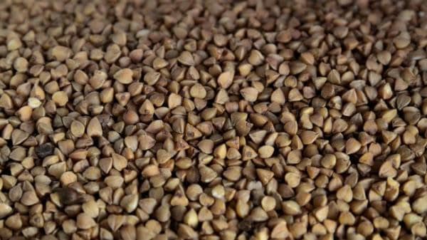 Сбор гречки в РФ снизится на фоне сокращения посевных Сбор гречки в РФ снизится на фоне сокращения посевных