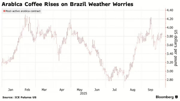 Фьючерсы на кофе растут на фоне опасений по поводу засушливой погоды в Бразилии Фьючерсы на кофе растут на фоне опасений по поводу засушливой погоды в Бразилии