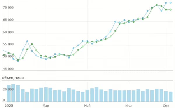 СПбМТСБ пытается остановить рост биржевых цен на бензин СПбМТСБ пытается остановить рост биржевых цен на бензин