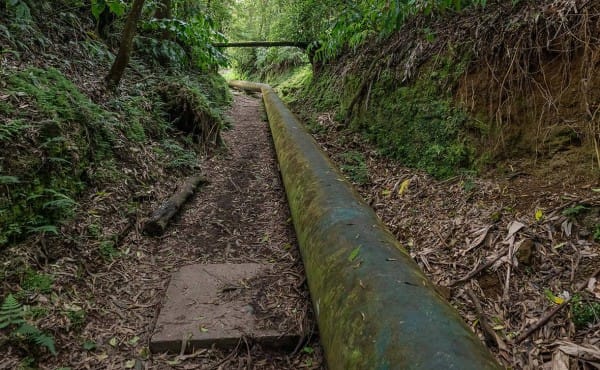 Счетная палата предложила повысить плату за пользование водными ресурсами Счетная палата предложила повысить плату за пользование водными ресурсами