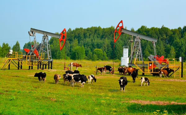 Дюков объяснил рост спроса на нефть Дюков объяснил рост спроса на нефть