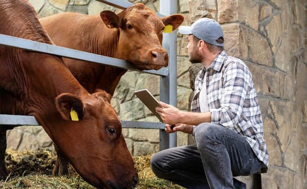 От ветеринара до генного инженера: как готовят специалистов для АПК