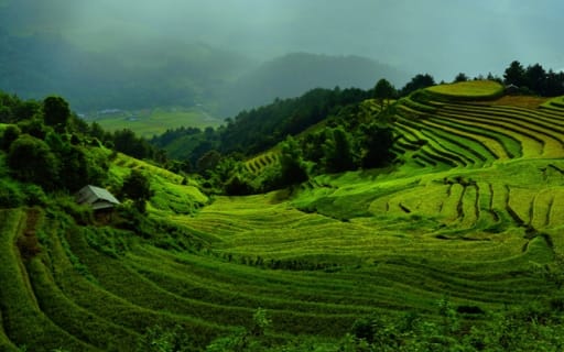 Нобелевку по экономике дали за «созидательное разрушение»