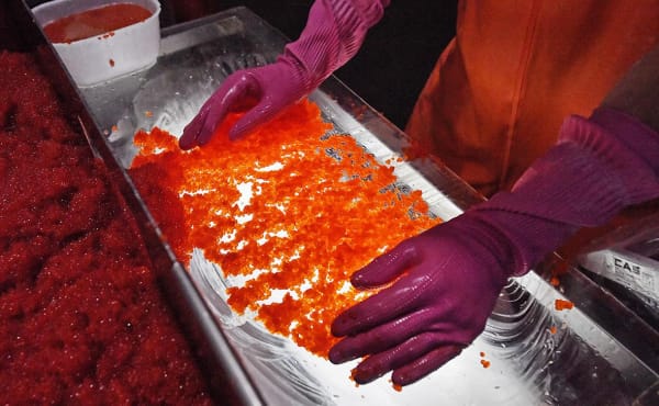 Росрыболовство спрогнозировало резкий рост производства красной икры